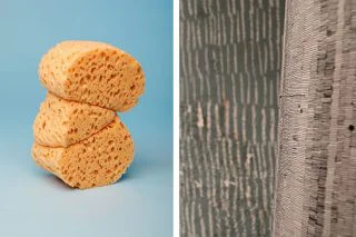 sponges-and-drawing-530x352-1474457874
