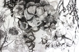 we-drew-a-garden2