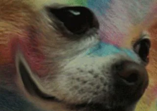 image-1456228026