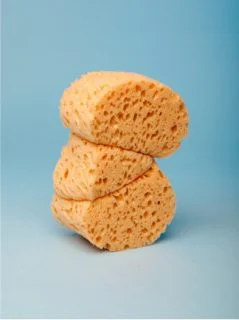sponges