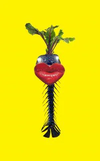 Fishy Beetroot