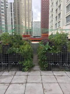 Yooma’s rooftop community garden