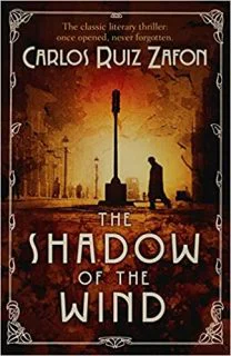 the shadow of the wind - aditi