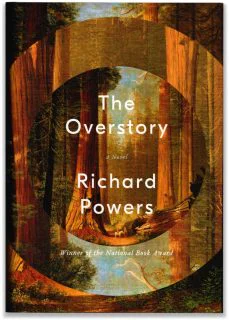 The+Overstory