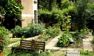 Shared garden