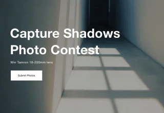 shadow_contest2
