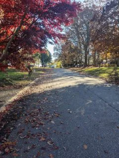 Fall