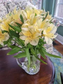 Spring flowers