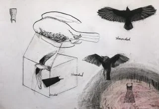 Shrouded by Suzy O'Mullane