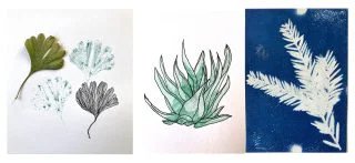 botanics and printmaking