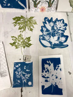 botanicssummer4