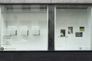 The Window Gallery