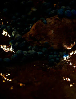 Threads of Life by Etryscan Avygnon,2023