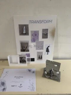 Design proposals for window display