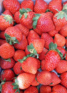 strawberries 5x7