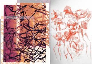 Juxtaposition-visual_PCAxHCA