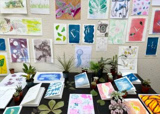 botanics 7x5